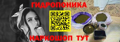 индика Кулебаки