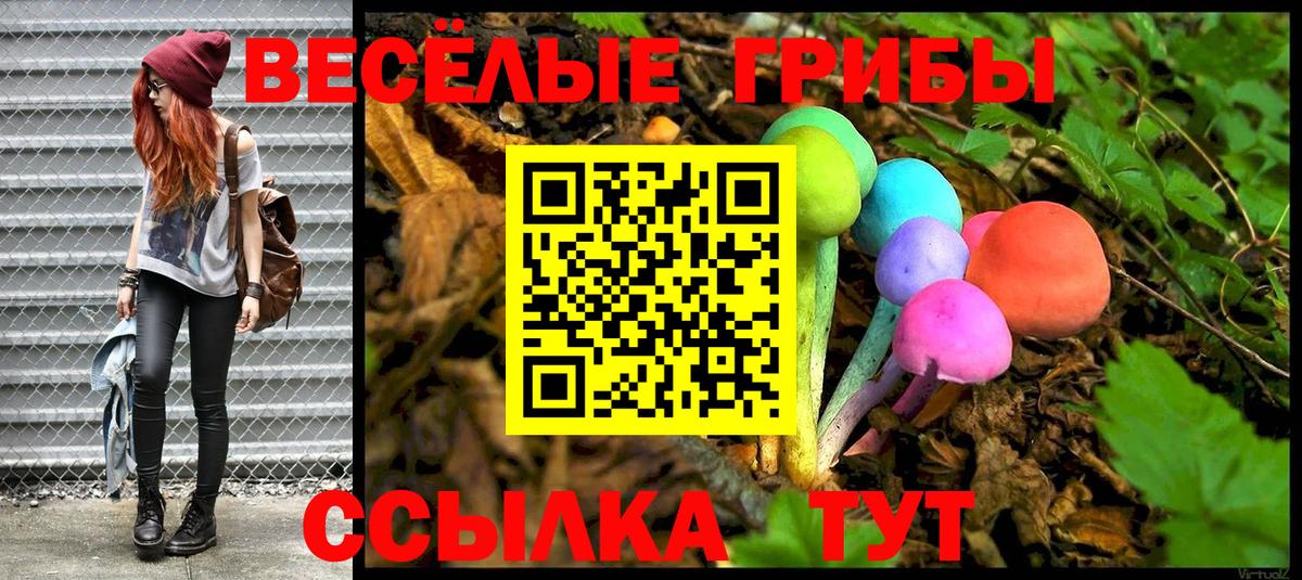 Галлюциногенные грибы мицелий  Вход с VPN  Грязи  Галлюциногенные грибы мицелий 
